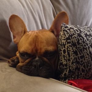 Meet your Posher, Marika